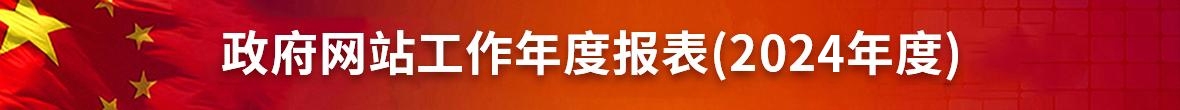 政府网站工作年度报表